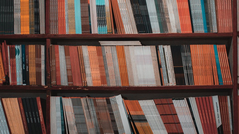 Shelves of journals seen edge on, a wall of coloured spines.