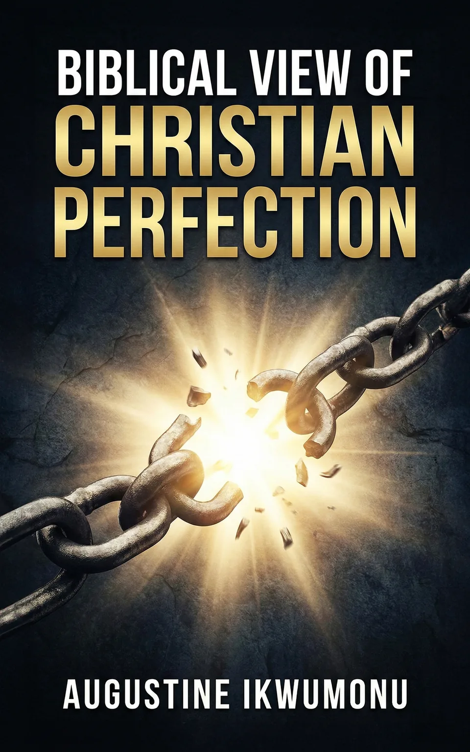 Cover of Biblical View of Christian Perfection by Augustine Ikwumonu